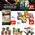 lidl 4 a 10 janeiro